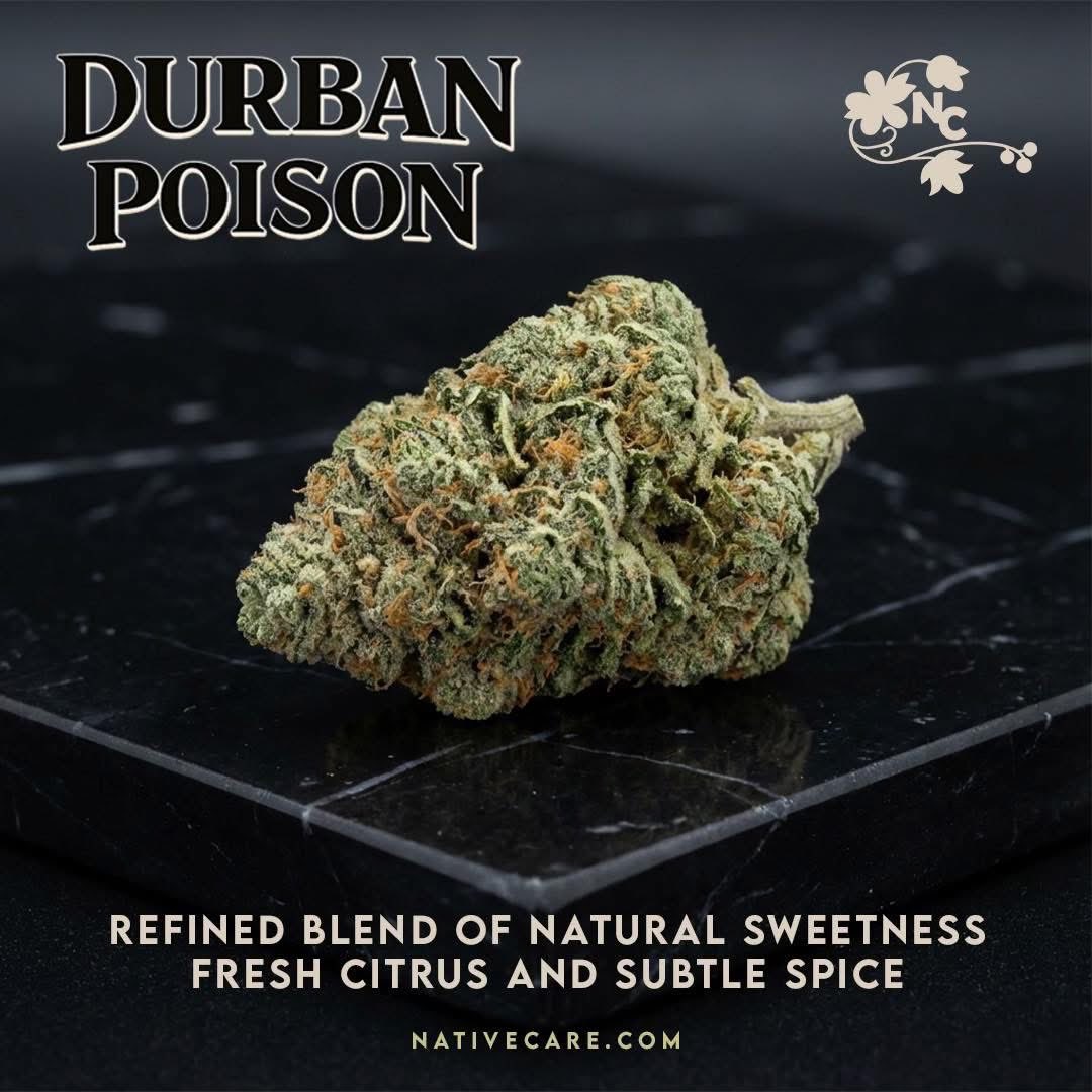 NativeCare tweet media