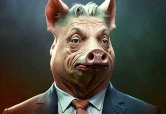 Findustrading tweet media