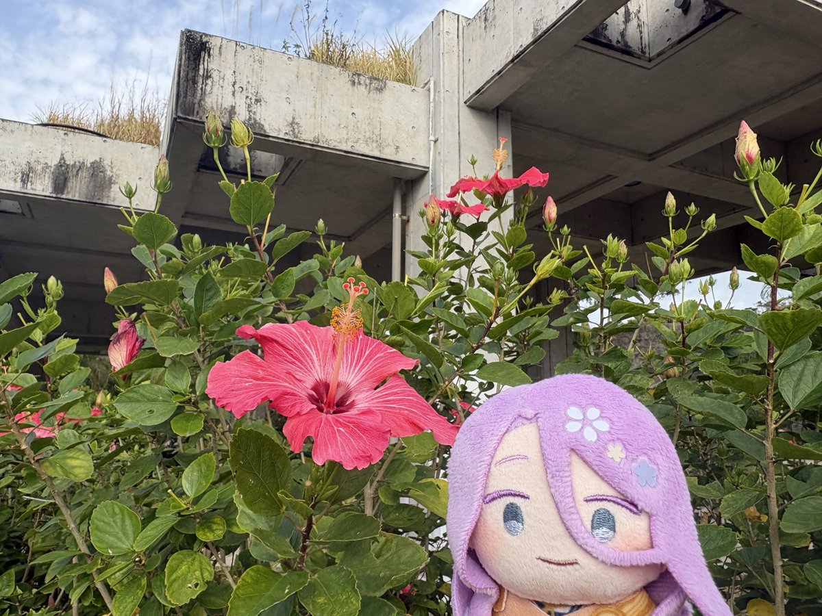 うえしたさゆさゆ (@ueshita_sayu) / Posts / X