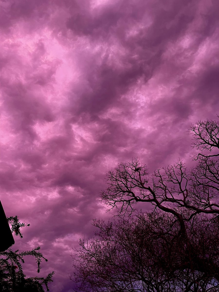 USABeachBlonde tweet media