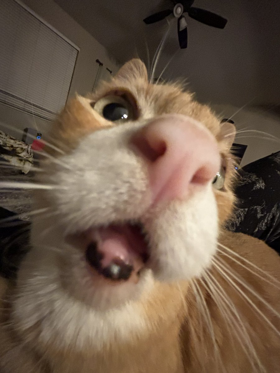 tybon // 21 tweet media