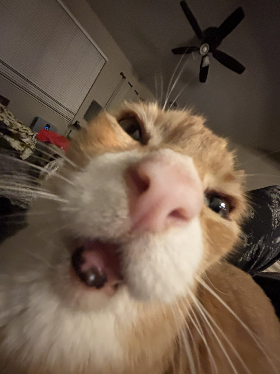 tybon // 21 tweet media