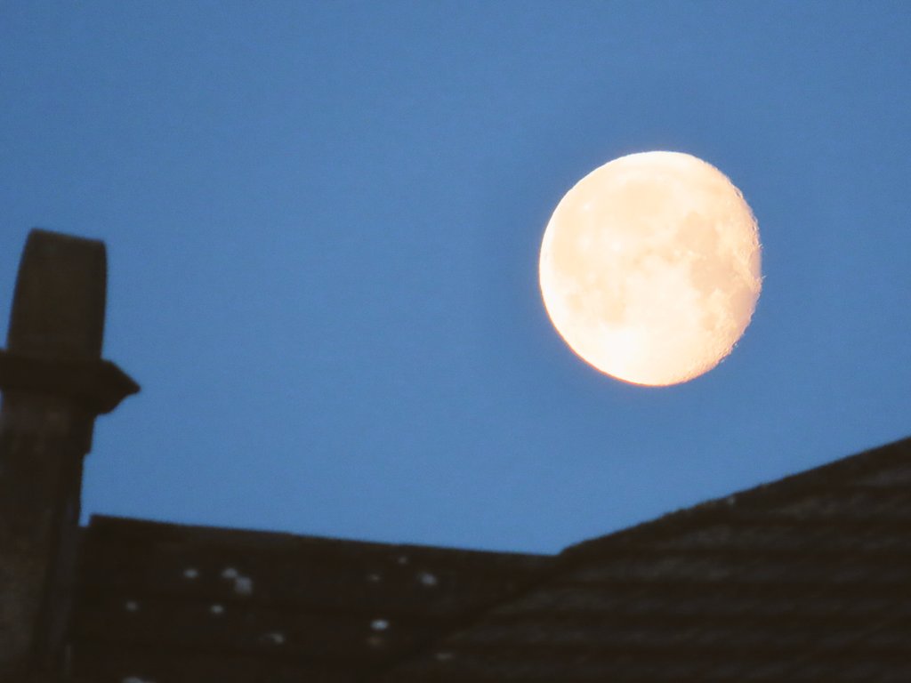 Tartan Astronaut for independence🏴 tweet media