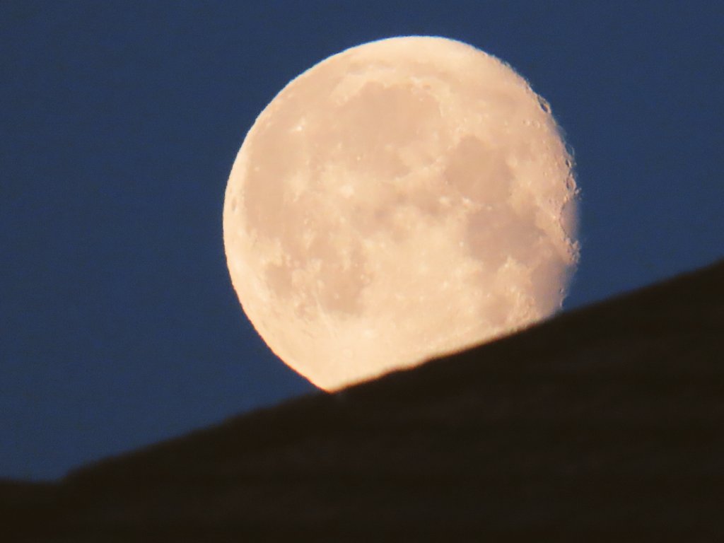 Tartan Astronaut for independence🏴 tweet media