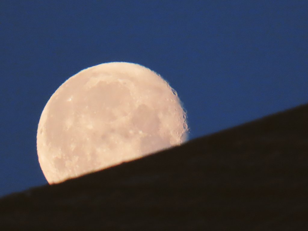 Tartan Astronaut for independence🏴 tweet media