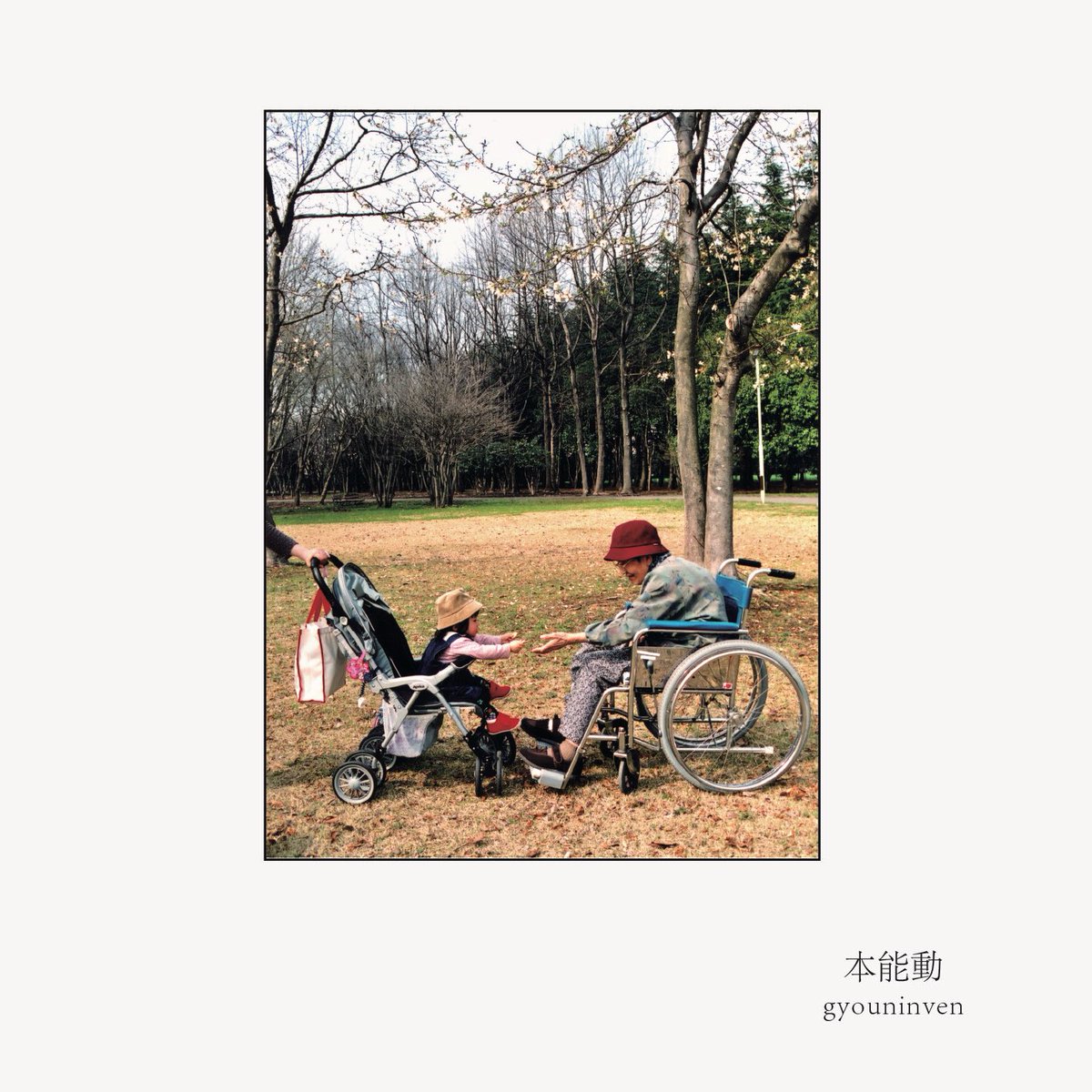 たこち☆ tweet media