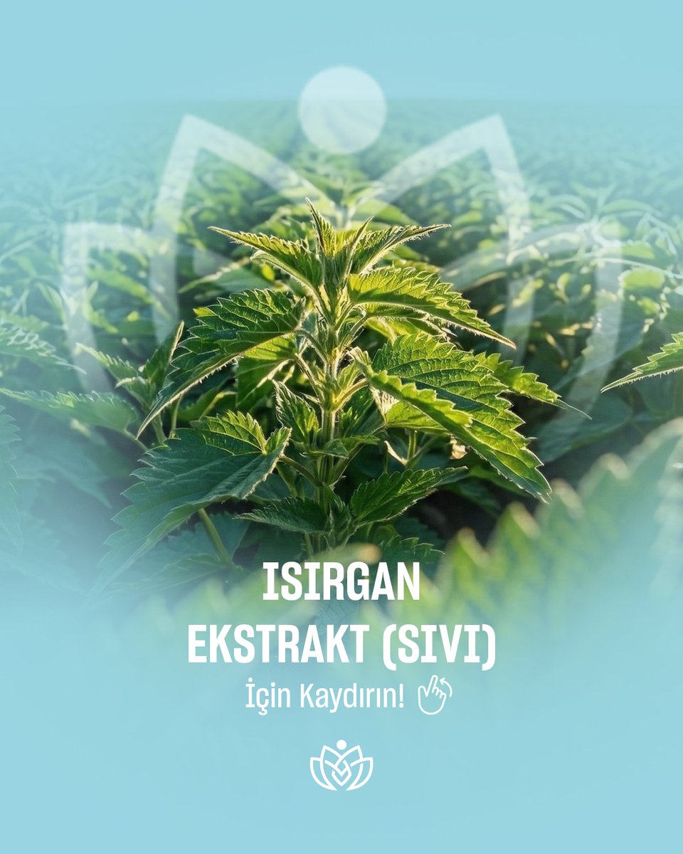 newrawmaterials's tweet photo. Bitkisel hammadde çözümlerimiz arasında yer alan Isırgan Ekstraktı (Sıvı), kozmetik, fitoterapi ve aromaterapi formülasyonları için güvenilir bir hammaddedir. 

Doğadan gelen içerikleri, endüstriyel standartlarla buluşturuyoruz! https://t.co/R7nPfNgiUB