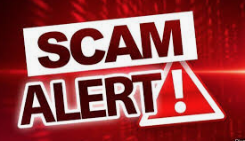 Celtic Blue tweet media