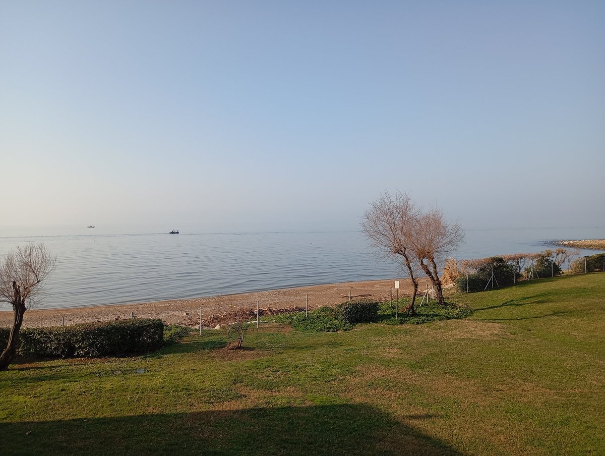 Το Κρασάκι Του Τσου #Komninos_Dynasty_Association tweet media