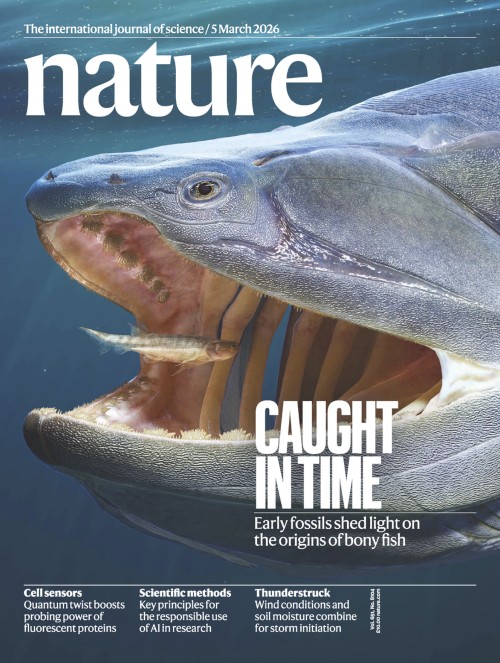 NatureJapan's tweet photo. Nature 2026年 3月 5日号

Cover Story：太古の姿：硬骨魚類の起源のスナップショットとなる初期の化石
https://t.co/BBp3Fzlg8H
表紙は、硬骨魚類EosteusがMegamastaxという魚類の口の中に入り込む様子を、デジタルモデルで描いたものである。

Caught in time
https://t.co/7Yup0nkj4x

#nature https://t.co/0tYXgzVT1Q