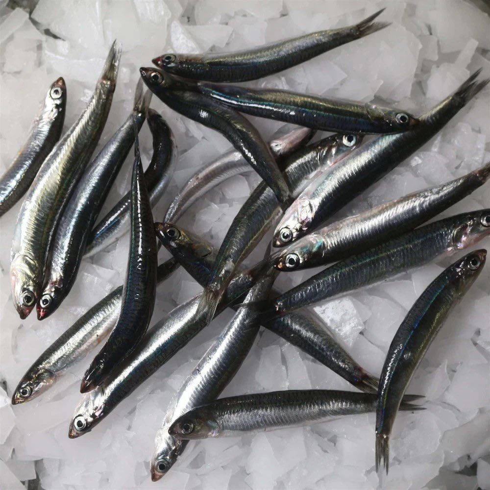 Gelecek nesil, bu ikisi arasındaki ilşkiyi asla anlamayacak…