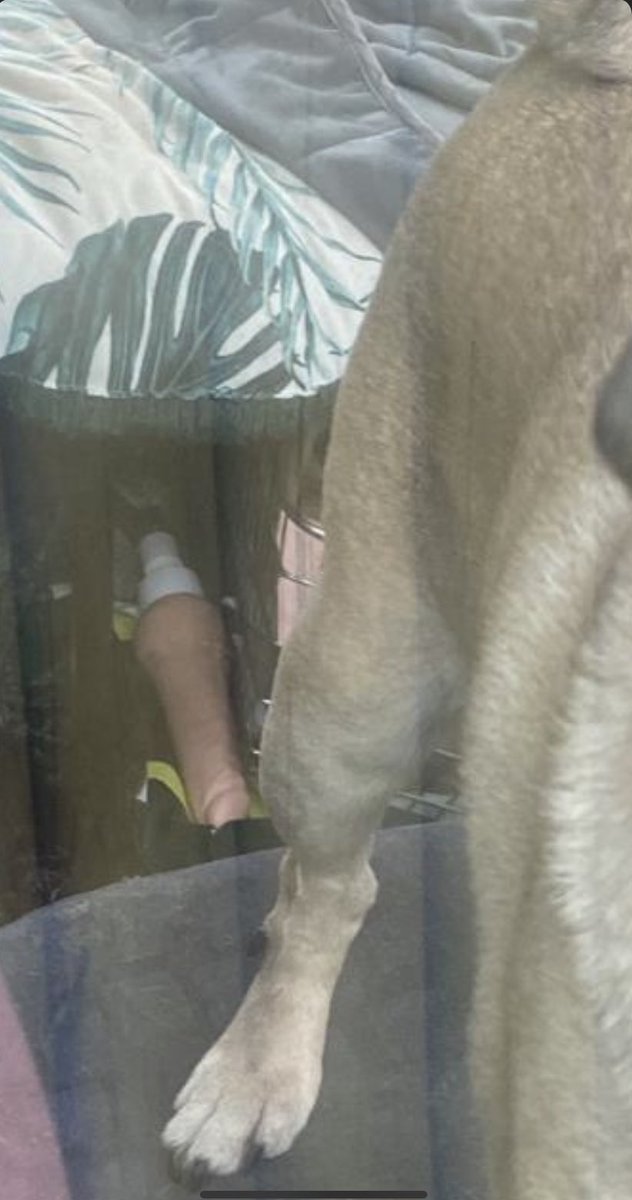 Monkey Business: Exclusive Lifestyle Event Company tweet media