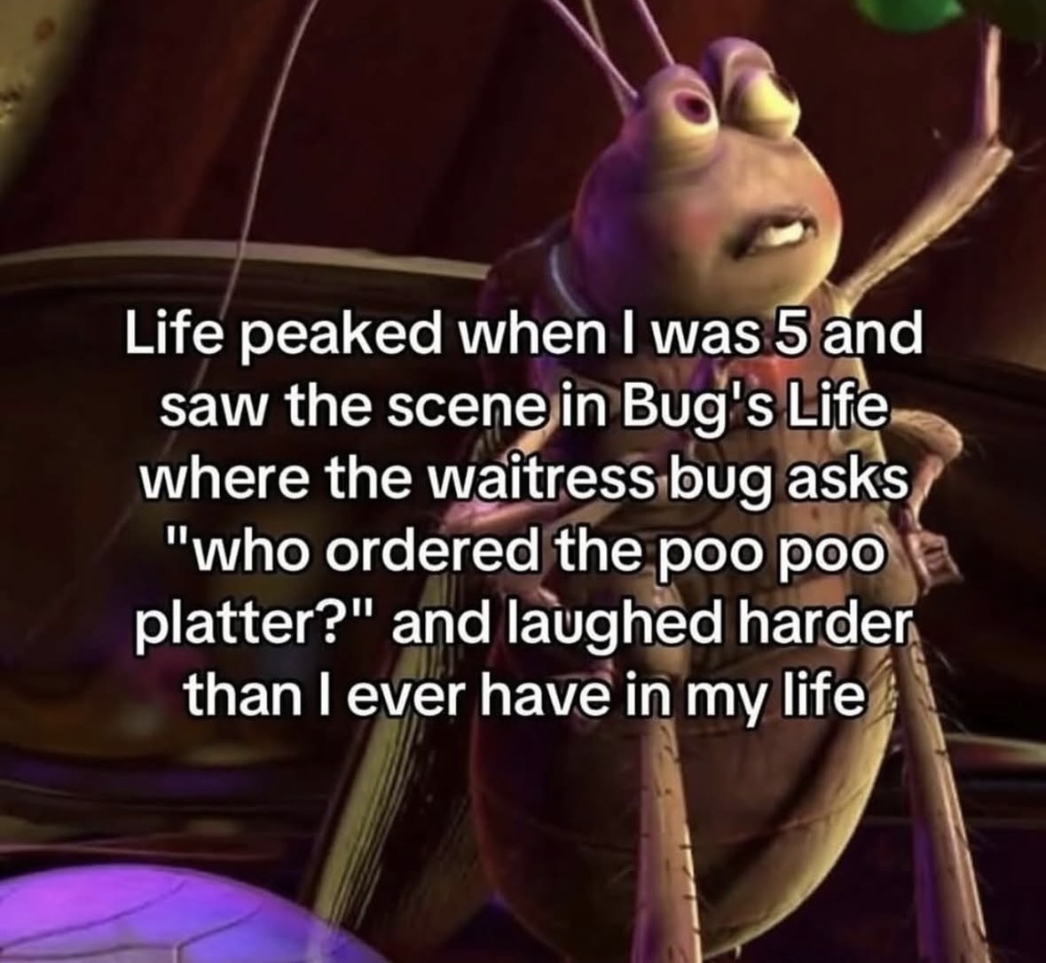 Respectful Memes tweet media