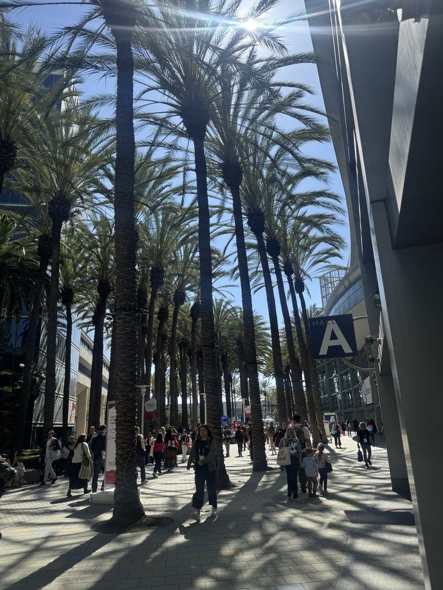 Albert | Aloe Tallow tweet media