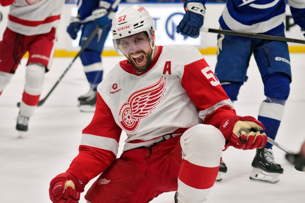 TheOaklandPress's tweet image. Red Wings reacquire veteran forward David Perron trib.al/CdpOR1H