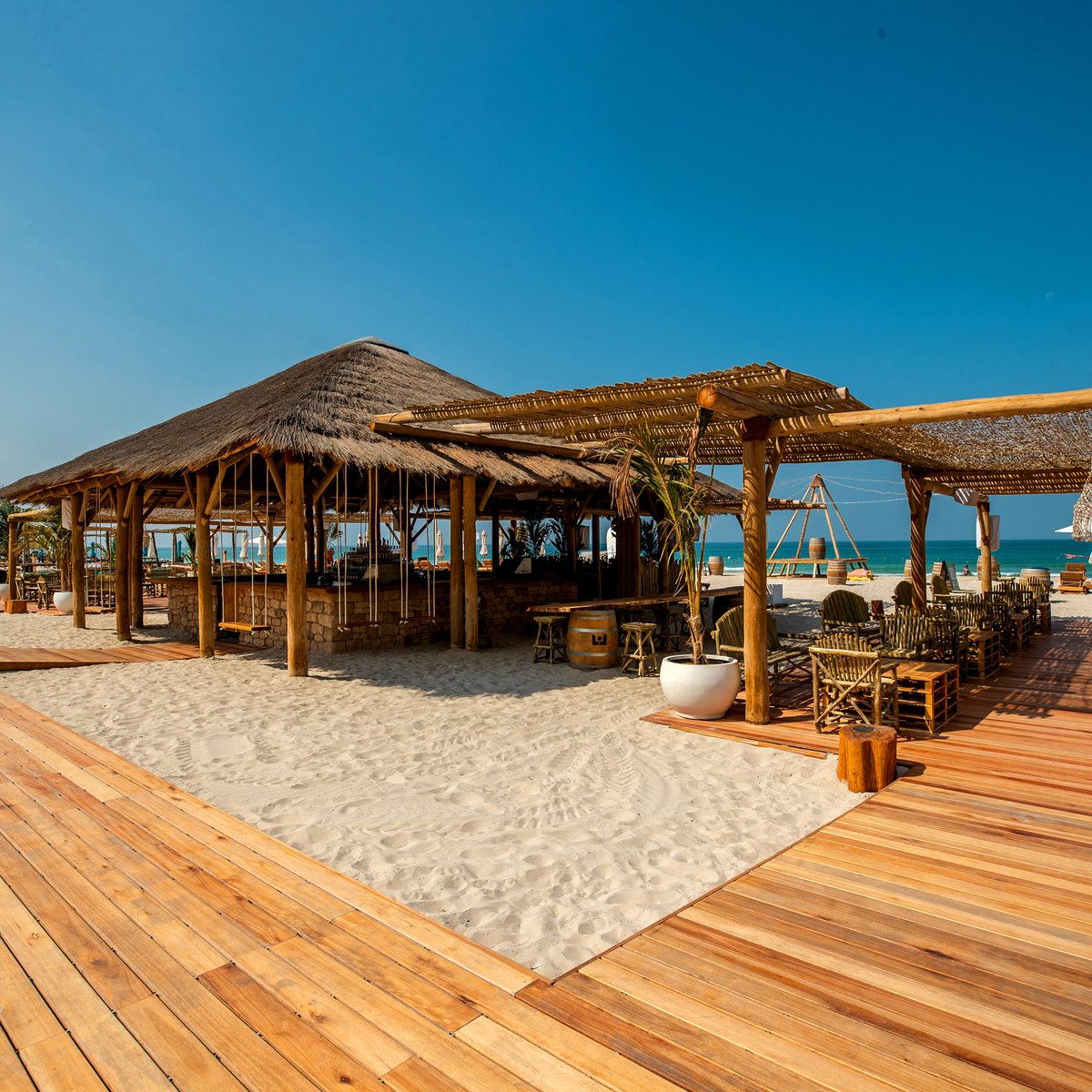 Cape Reed International tweet media