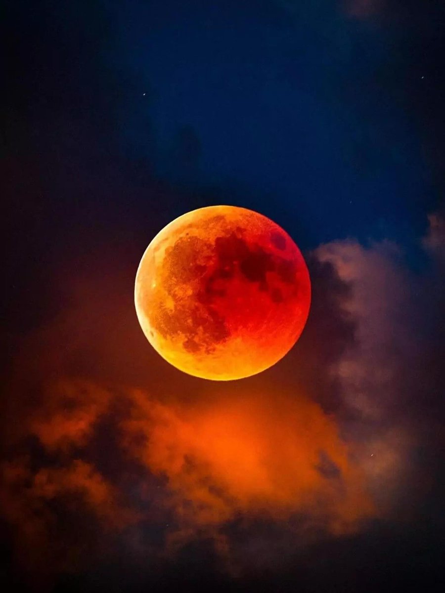 MOON tweet media