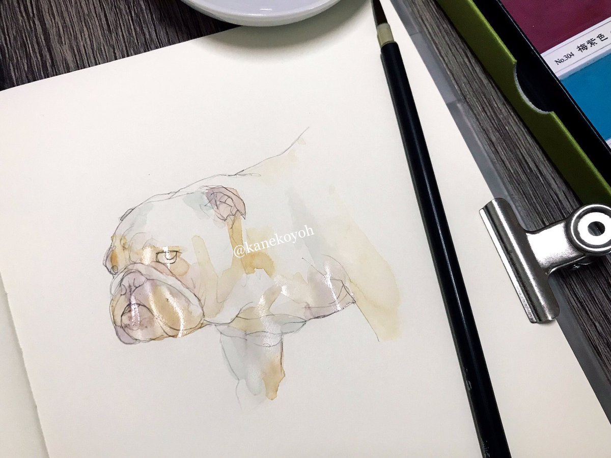 金子 羊｜Kaneko Yoh (@kanekoyoh) on Twitter photo 