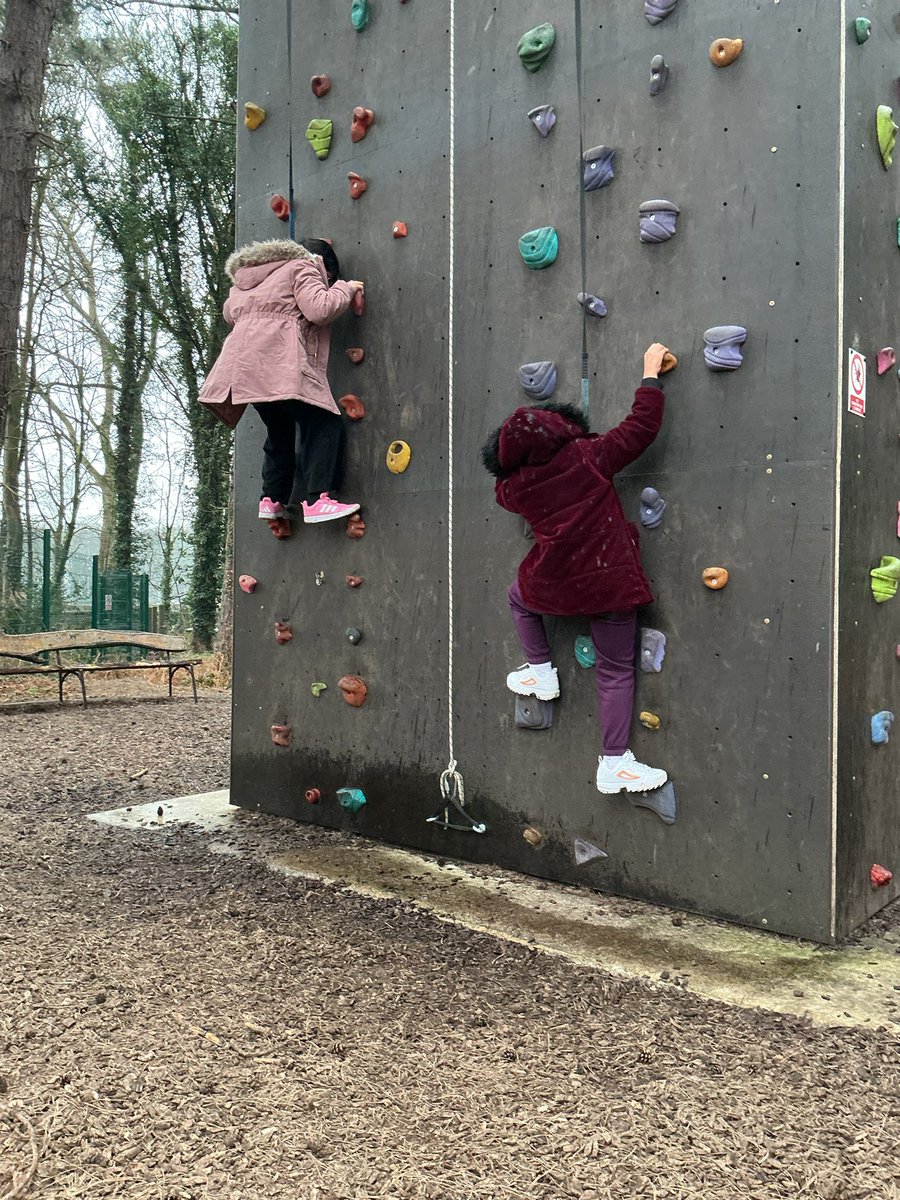 Lawrence Primary tweet media