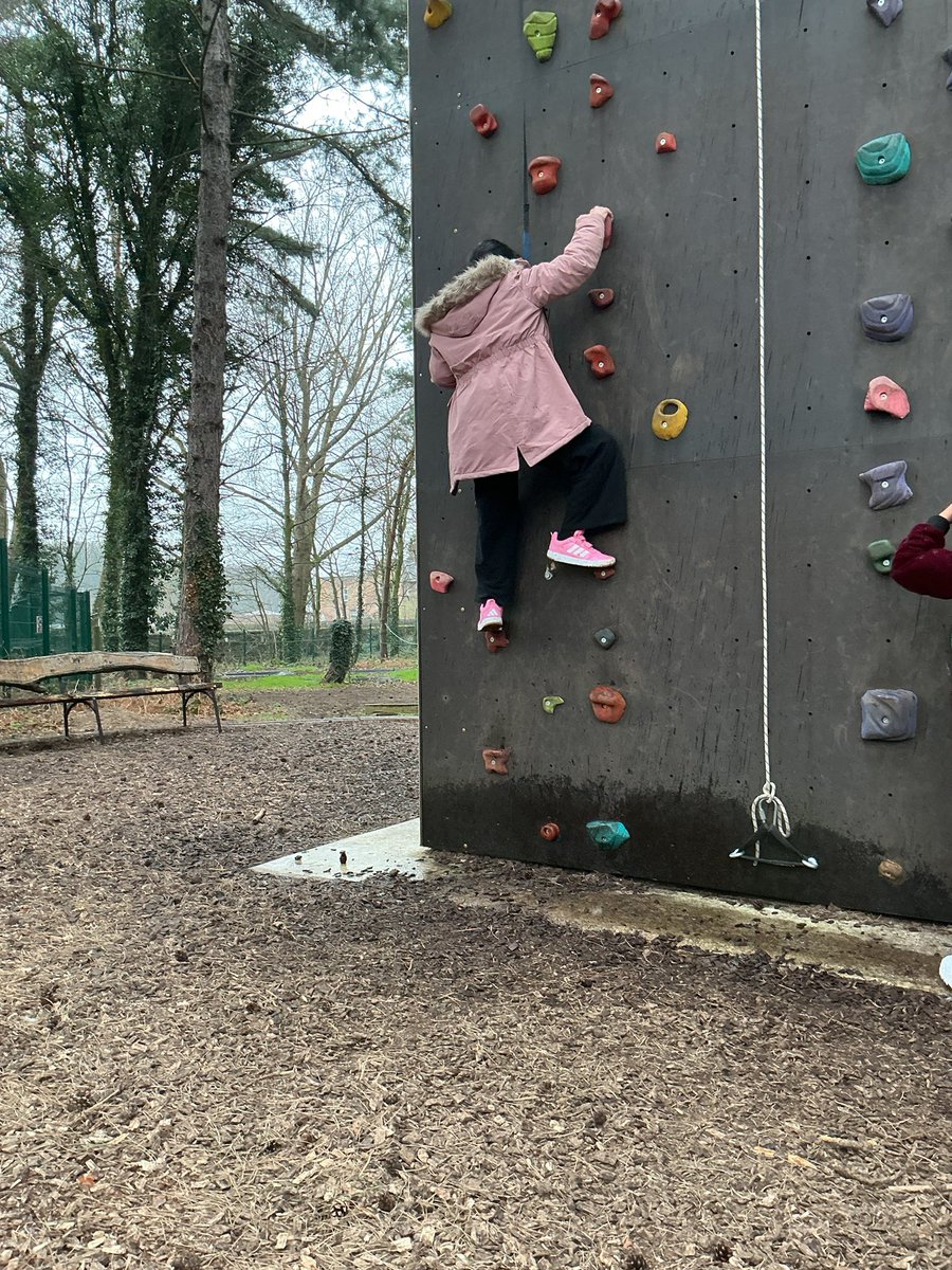 Lawrence Primary tweet media