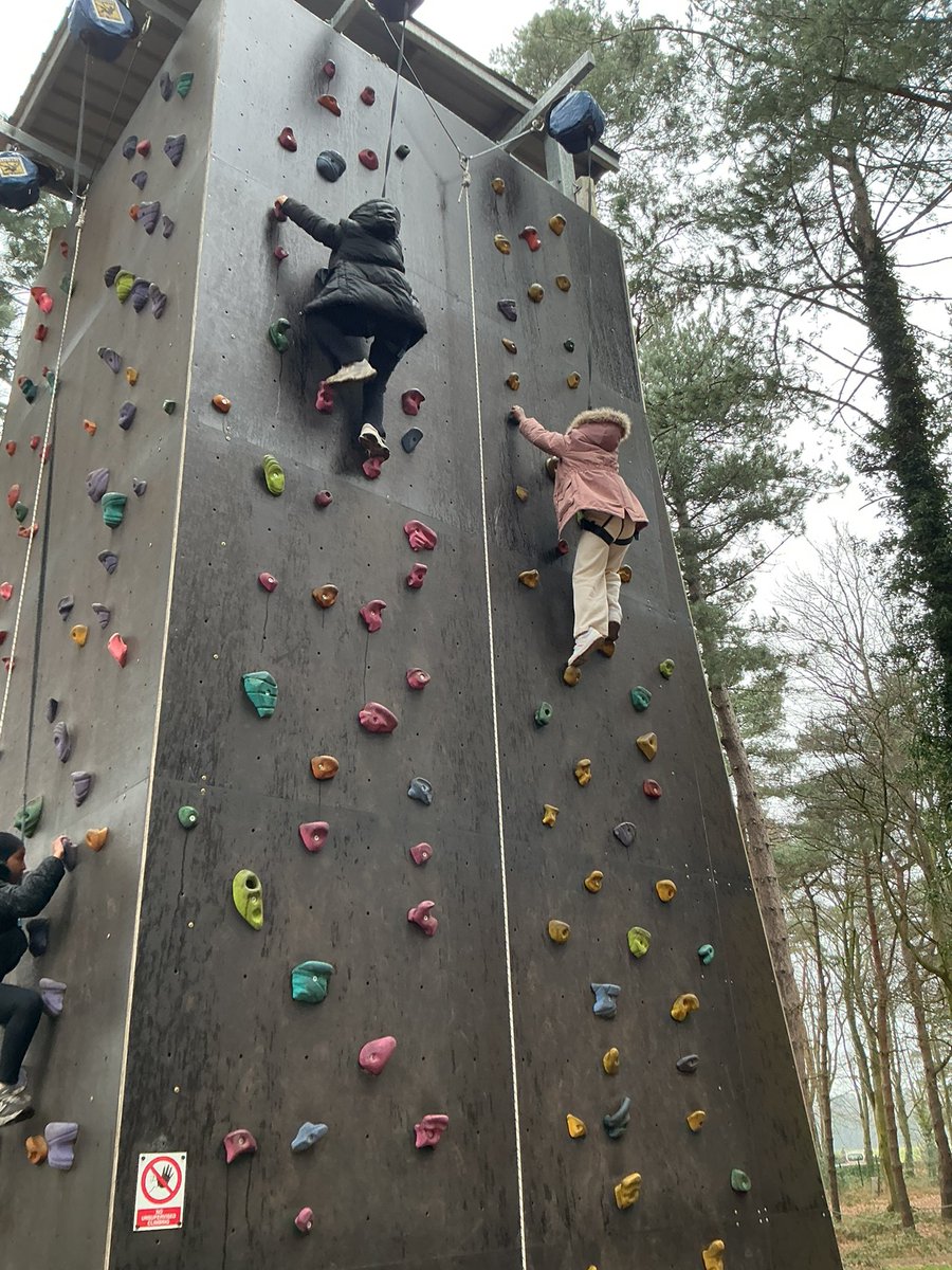 Lawrence Primary tweet media