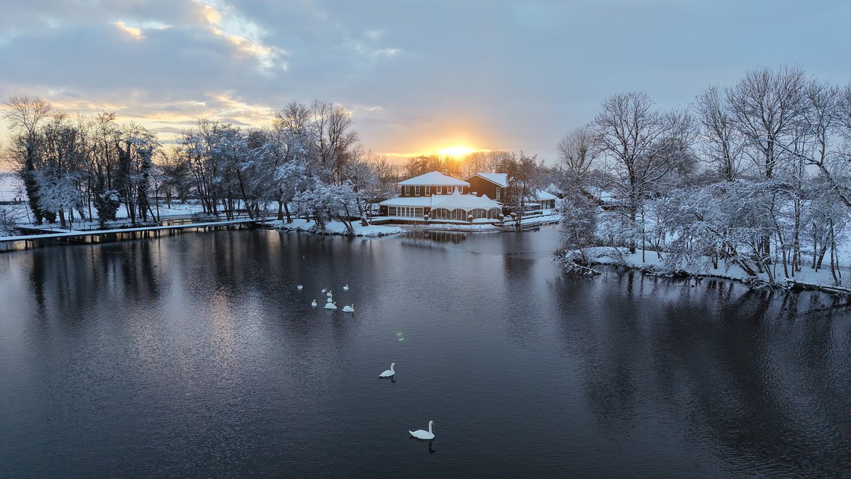 High Profile Events tweet media