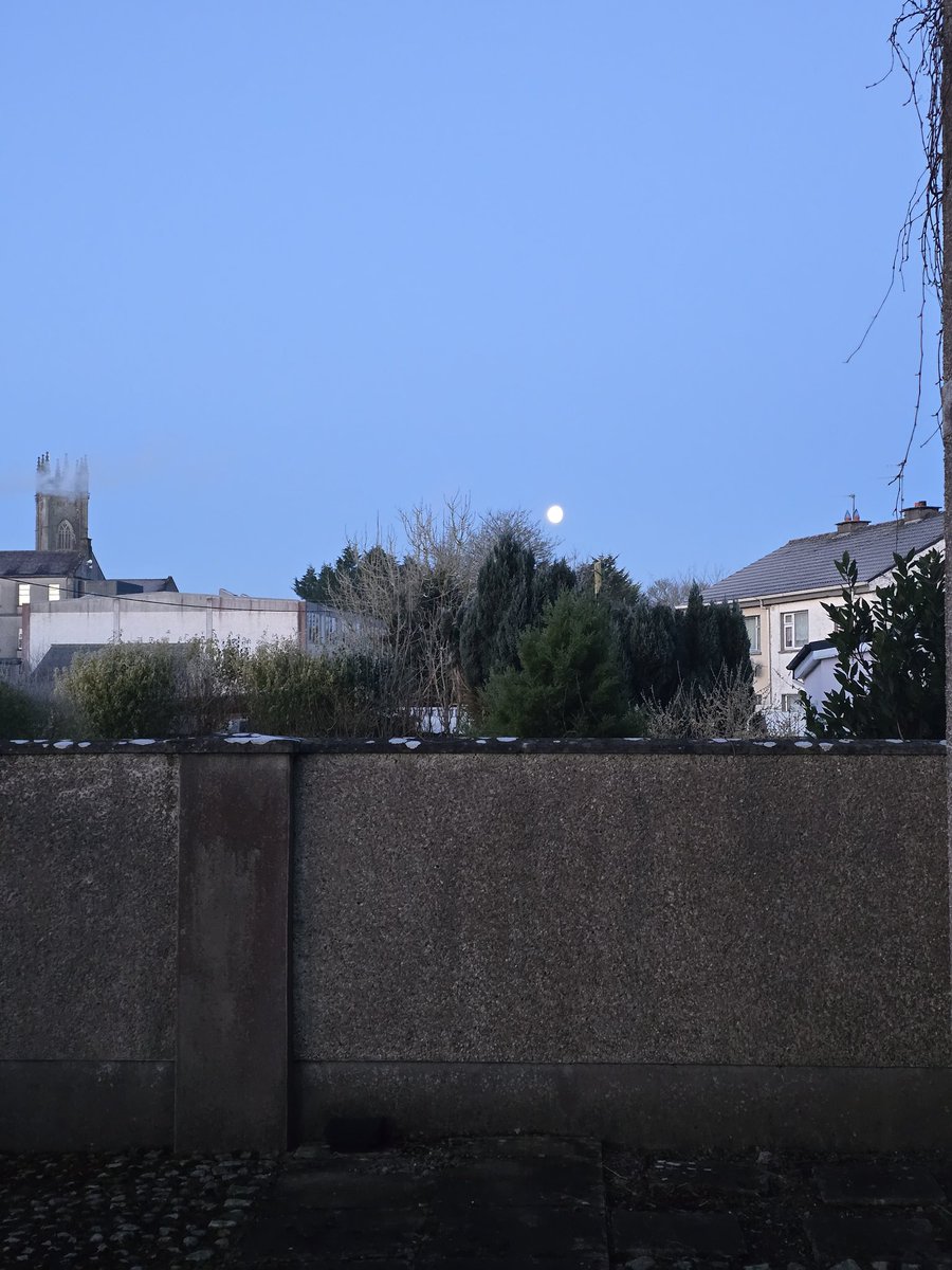 Todays Mood 💚🤍♥️