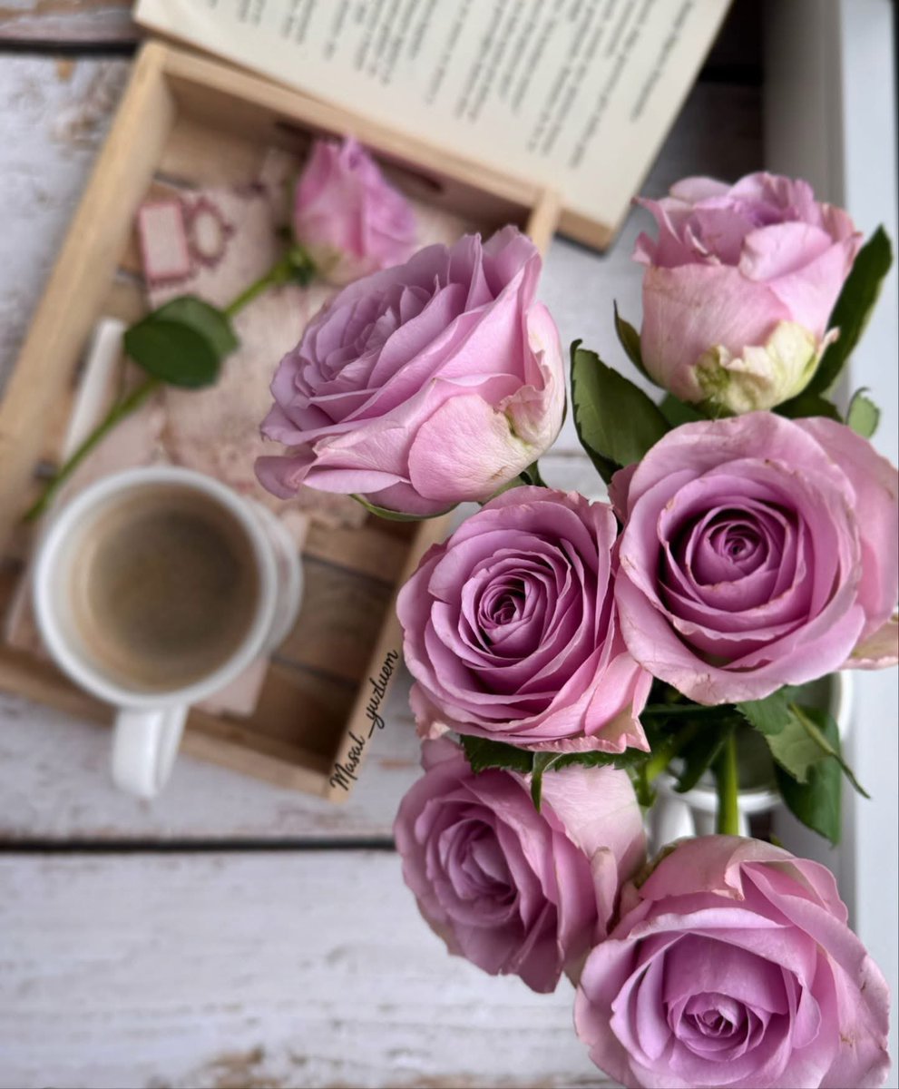 Happy Friday! Guten Morgen ihr Lieben, ich wünsche Euch einen schönen und stressfreien Freitag. 🌸☕️🌸