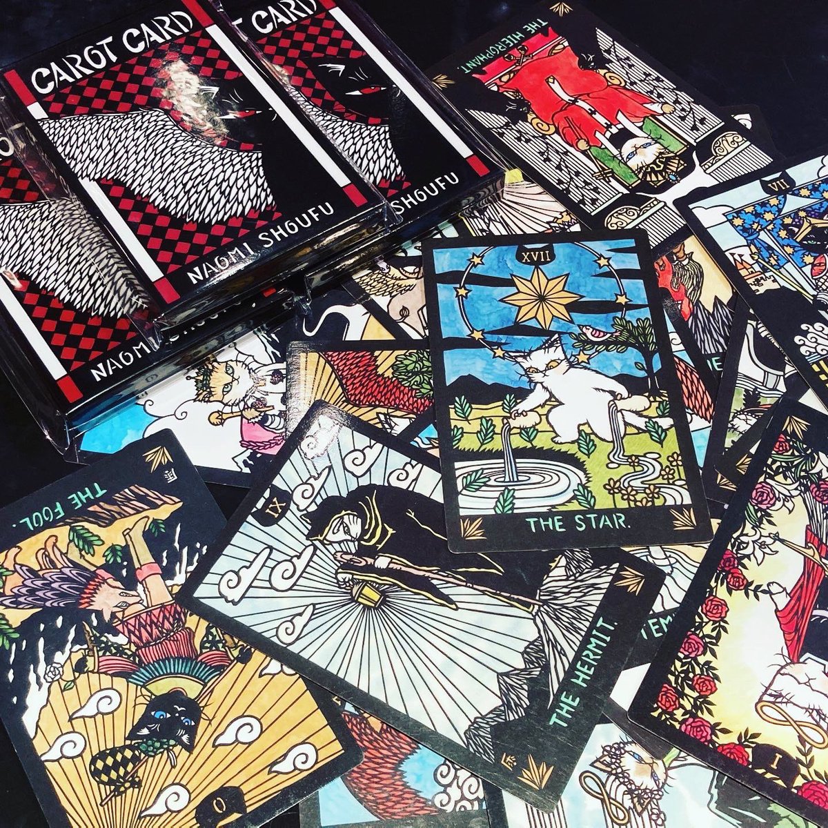 猫専門　またたび堂 tweet media