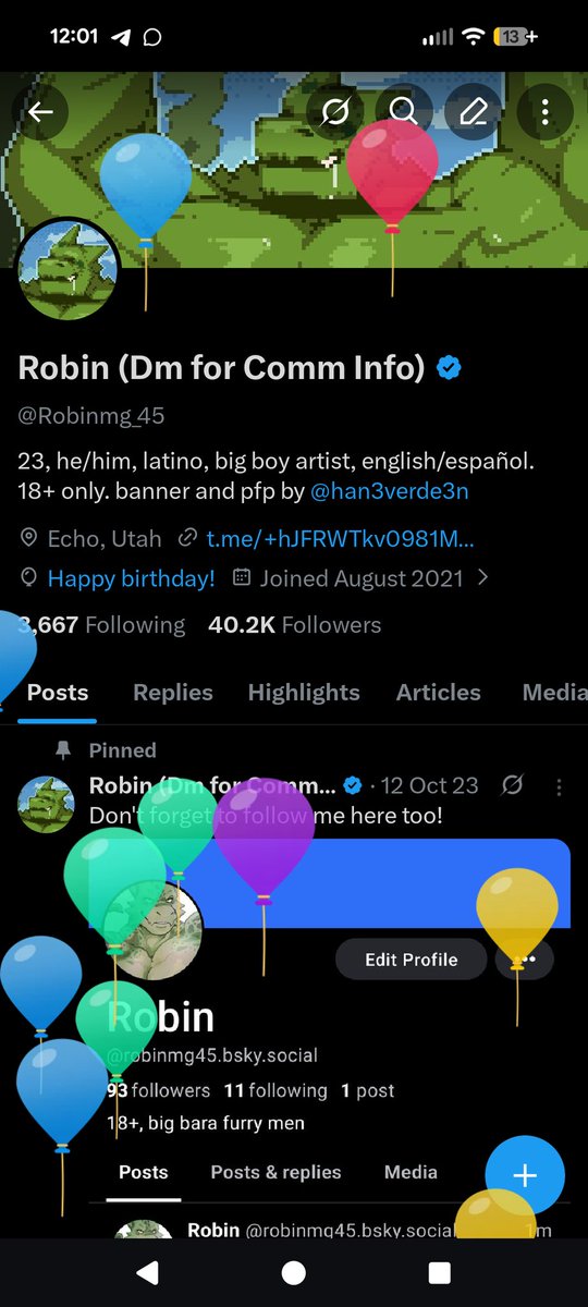 Robin (Dm for Comm Info) 🎉 tweet media