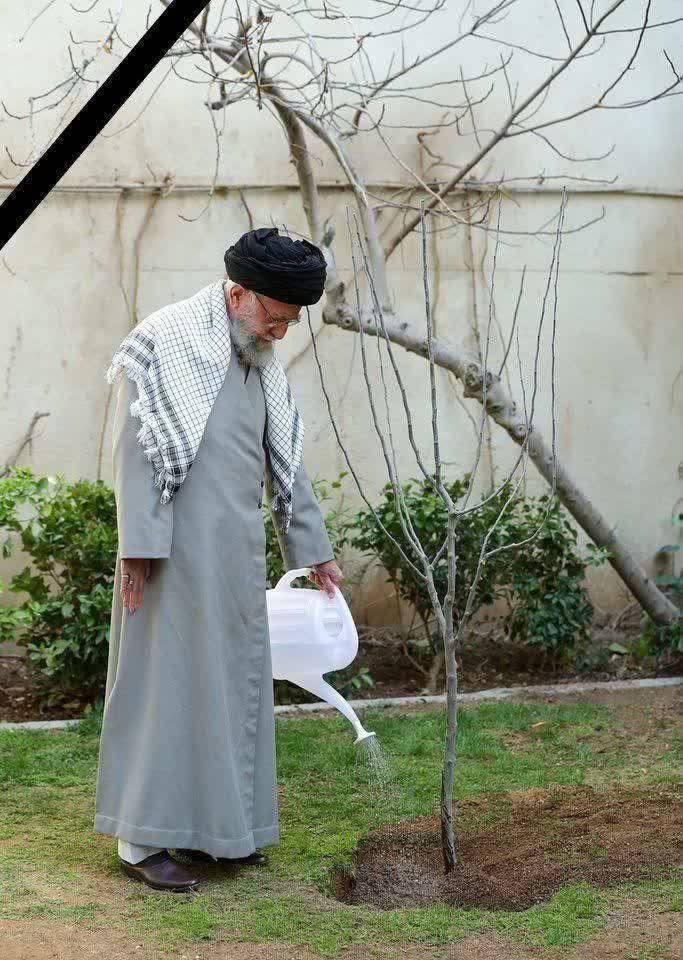 امسال روز درختکاری آن امام شهید مظلوم دیگر نیست تا با دستان جانبازش یک نهال بکارد.
‌اما رهبر شهیدم تو نهال نحیف جمهوری اسلامی را به درخت تنومند تبدیل نمودی و ما آن را تا آخرین نفر مراقبت خواهیم کرد.
‌
راهت ادامه دارد...🥲❤️
#رهبر_شهید_انقلاب