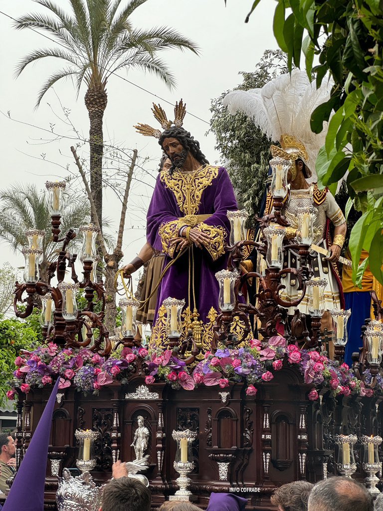 De Pino Montano tweet media