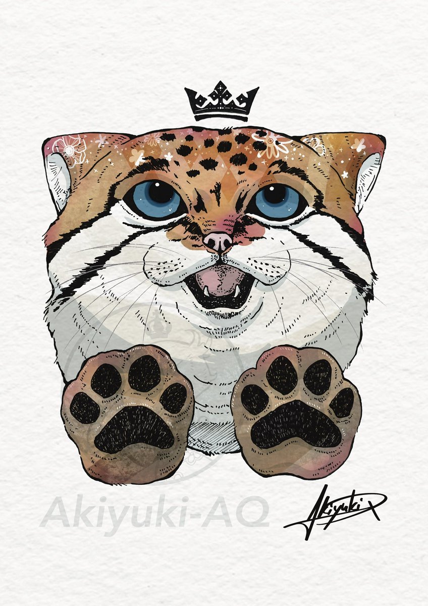 マヌルネコ（黄） #マヌルネコ #pallasscat