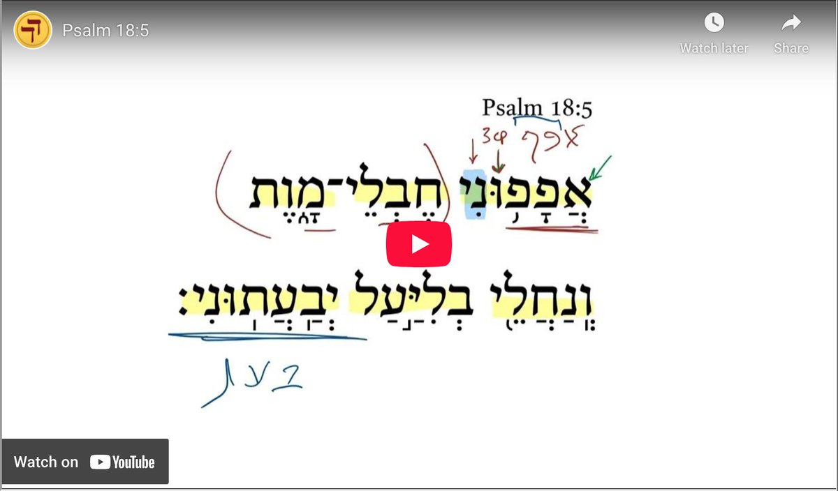 Daily Dose of Hebrew tweet media