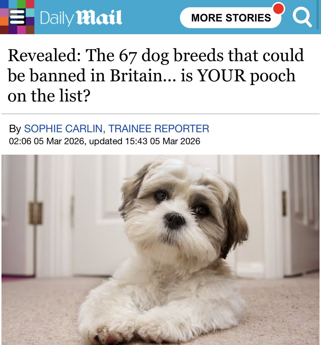 🚨🇬🇧 Meanwhile in the UK

The British government are now considering BANNING 67 Breeds of dogs from UK streets ‼️

There is also plans to ban Dogs from parts of the English countryside.

Why?

The cover story is that it’s animal welfare, however the real reason, is simply, that