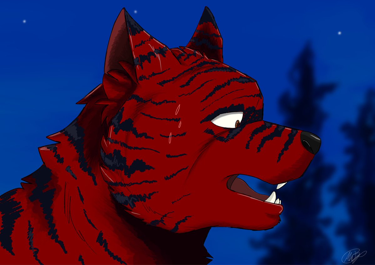 Akitawolfmon🐲🇦🇺 tweet media