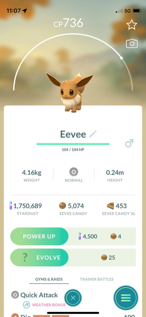 JohnPatrick_101's tweet image. #Eevee #NormalTypePokemon #PokemonGoAustralia #PokemonGo #CombatPower #EeveeCP736 #PokemonGoApp #Pokemon @PokemonGoNews #EvolutionPokemon