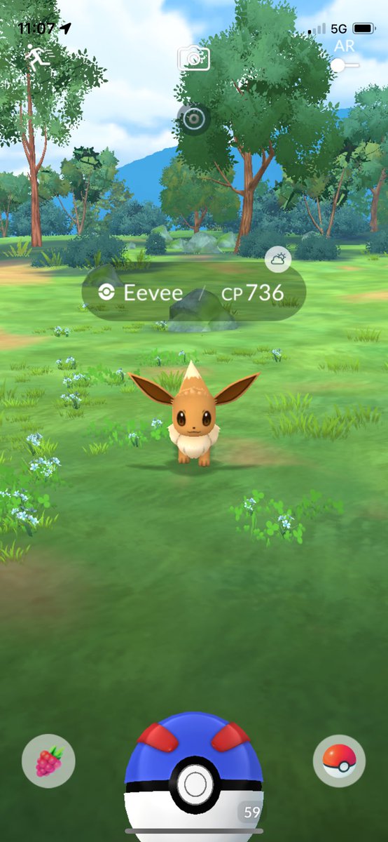 JohnPatrick_101's tweet image. #Eevee #NormalTypePokemon #PokemonGoAustralia #PokemonGo #CombatPower #EeveeCP736 #PokemonGoApp #Pokemon @PokemonGoNews #EvolutionPokemon