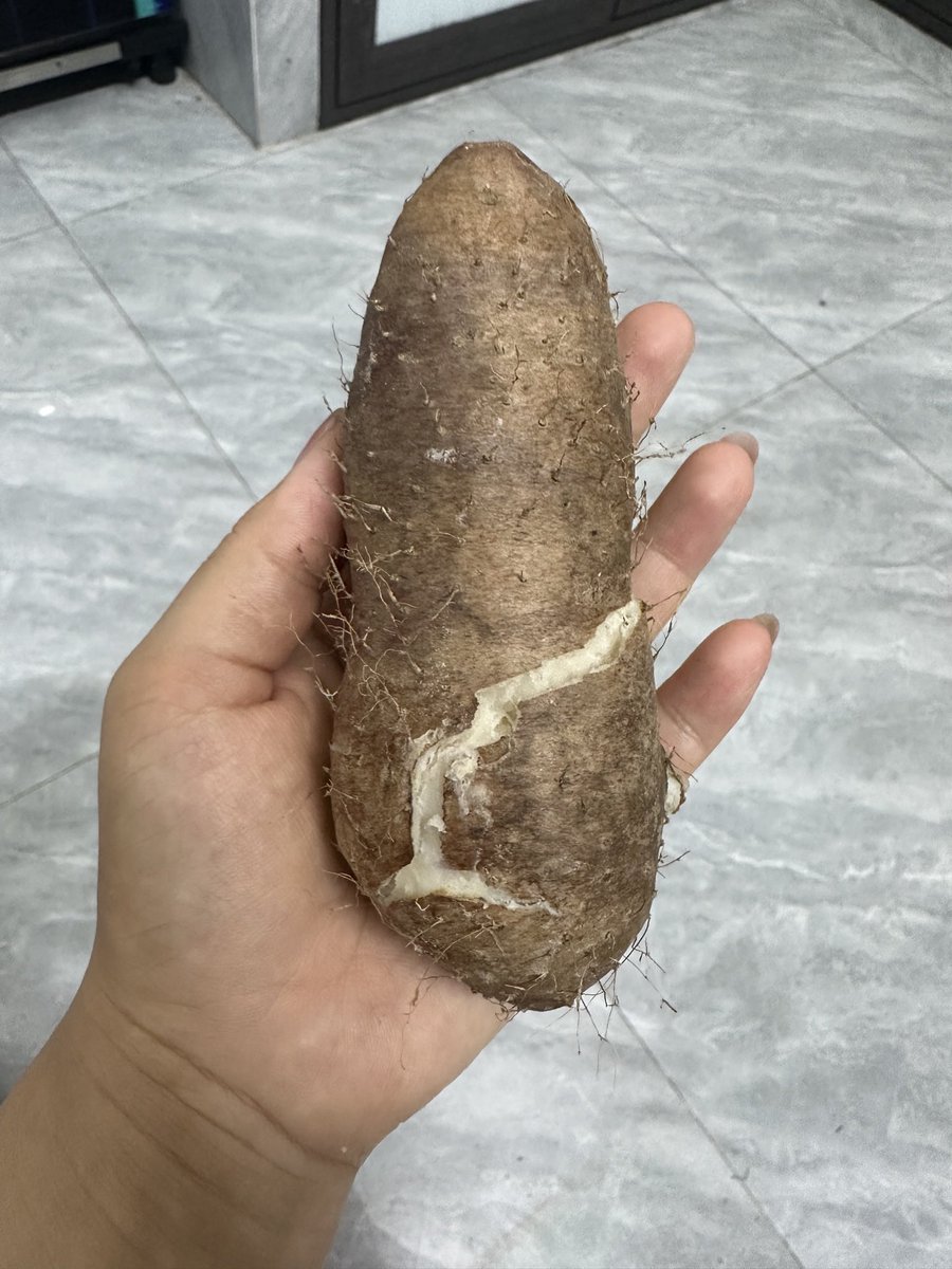 ザン🇻🇳 🇯🇵ベトナム出身♡日本 (@VietnamZannChan) / Posts / X