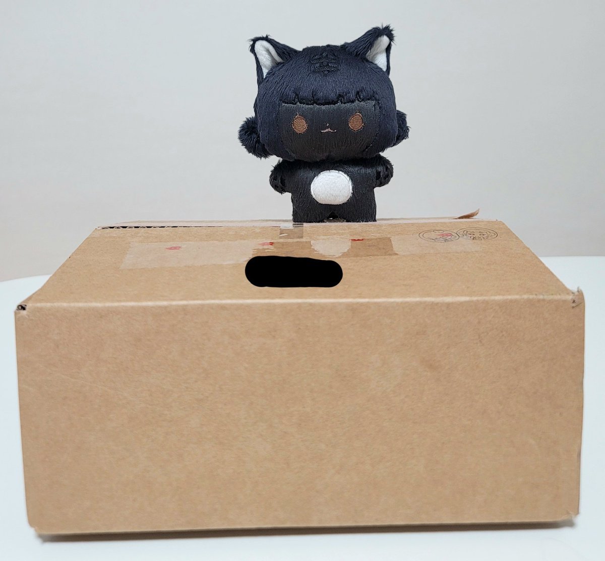 모모구 tweet media