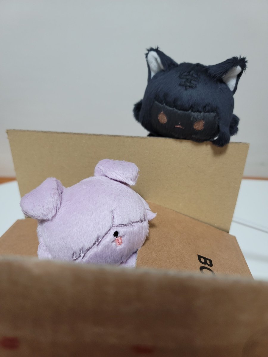 모모구 tweet media