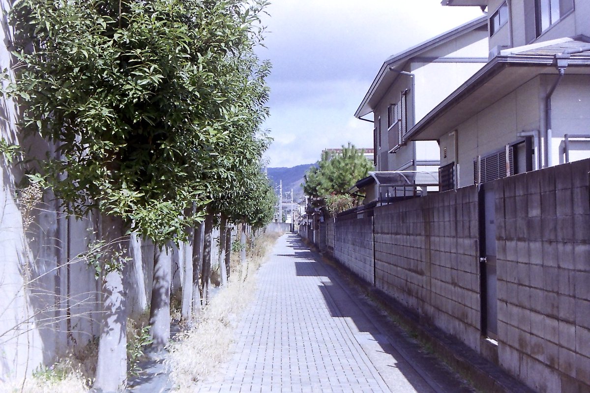 wao_camera's tweet image. よく晴れた日

Kodak Retinette 1A
Schneider-Kreuznach Reomar  45mmF2.8固定レンズ
Kodak UltraMax 400
#film #kodak #retinette