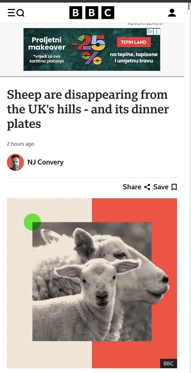 Ben Goldsmith tweet media