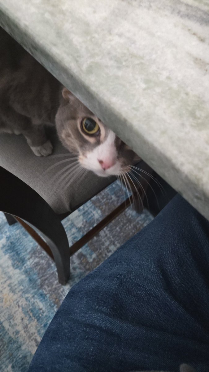 Technical tweet media