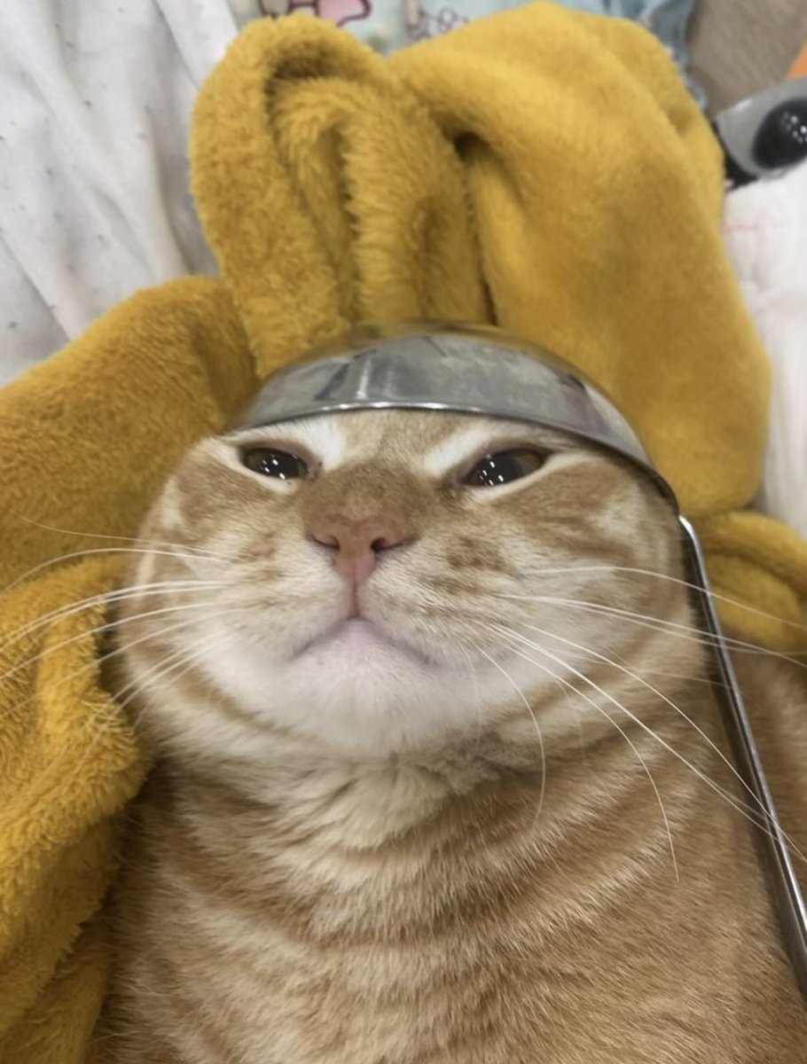 avgreplyguy tweet media