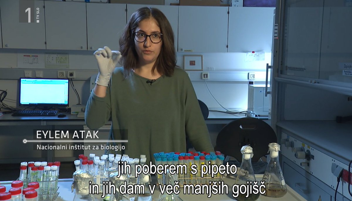 BBlue_Med's tweet photo. 🌊Slovenian Blue Biotech on TV 📺

#2BBLUE research in the Sečovlje Saltpans was featured on national 🇸🇮TV! Microalgae adapted to extreme salt &amp; sun may inspire new natural sunscreens &amp; skincare 🌿☀️ #BlueBiotech #Slovenia 

More: https://t.co/SafPrwvJEI https://t.co/AL8z5zcDoM