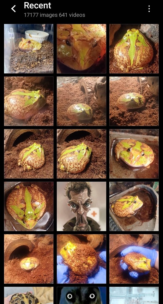 my gallery fucking sucks dude