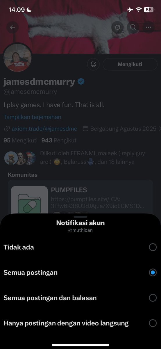 twinkle🧚🏻 tweet media