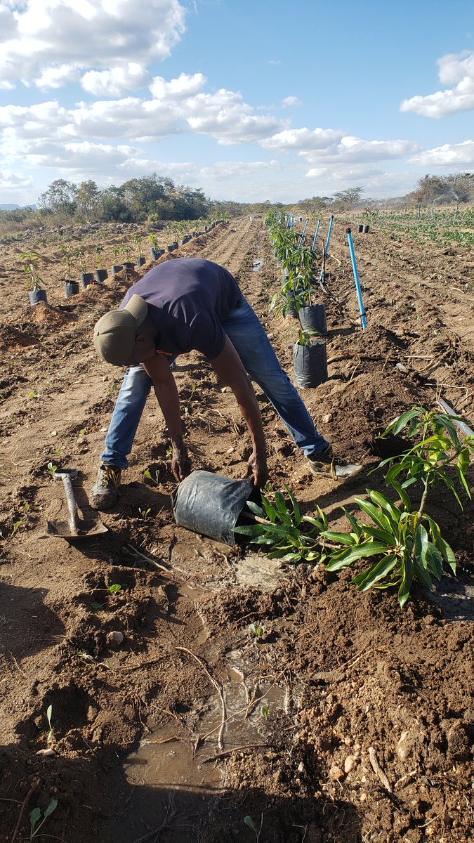 Mr.BumbleBee tweet media