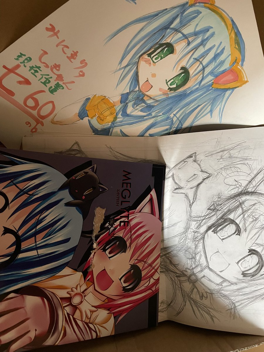 今日は宝物箱のお掃除をしました。
こちらはROで遊んでた仲間に頂いた物です。この方は後にごちうさの応援イラストも描いてたましたね
元気にしているだろうか… 